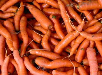 imperfect_carrots