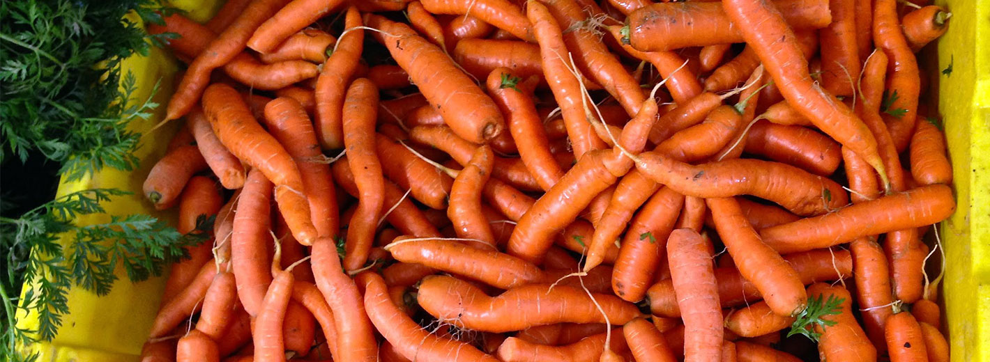 Imperfect Carrots