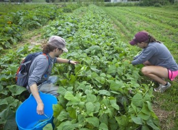 lafayette farm_hometalk news clip only