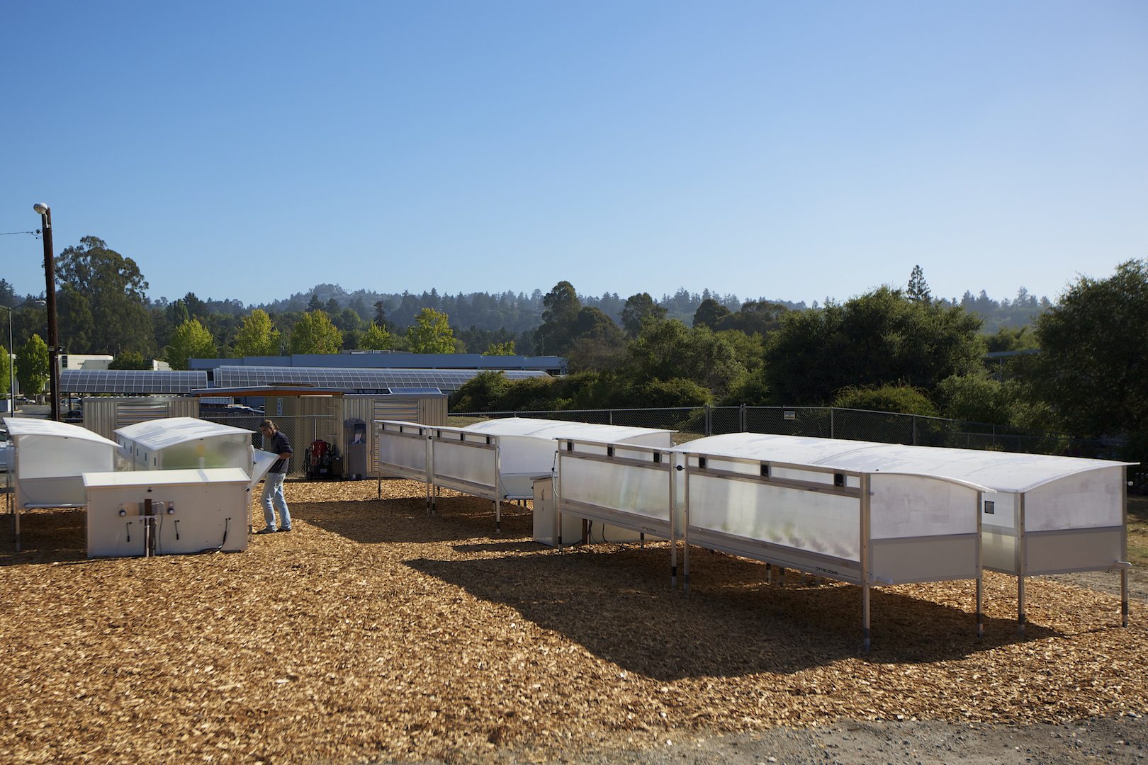CityBlooms' hydroponic micro-farm at Plantronics in Santa Cruz, CA 