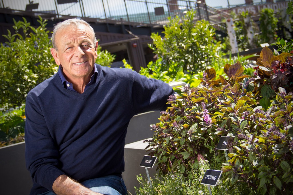 Bon Appétit CEO Fedele Bauccio at the Garden at AT&T Park