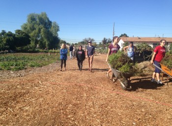 Huerta del Valle: Cultivating Equity for the Community, by the Community