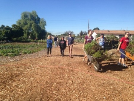 walking through the garden