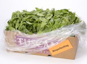 imperfectly delicious Second-Crop-Clip-Spinach-for-web_news clip only