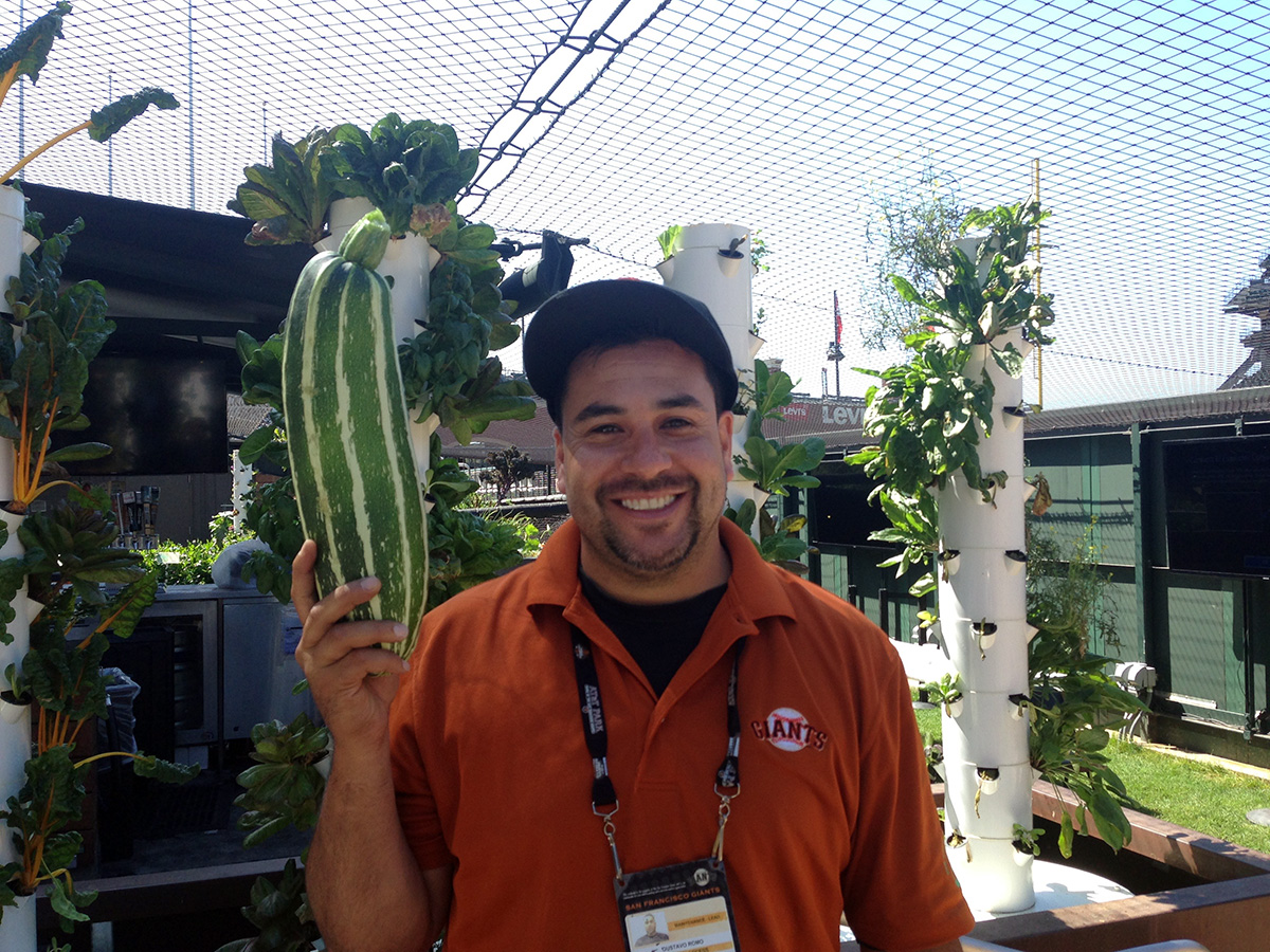 A Giants employee with one of the Garden's overgrown zucchinis