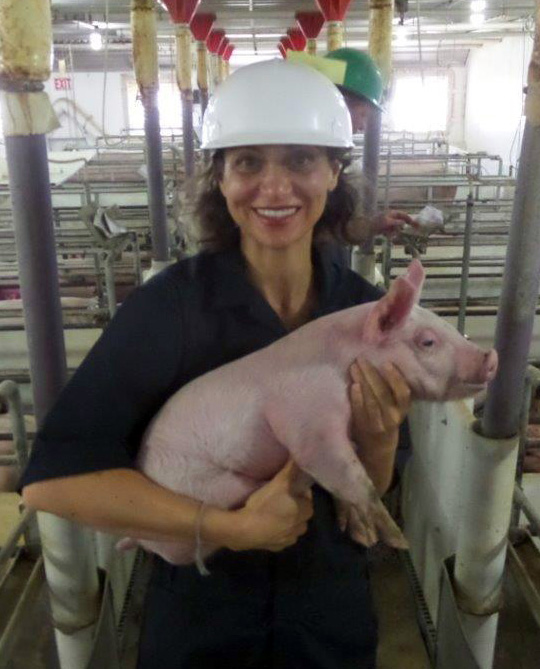 Holding a piglet at a Clemens farrowing facility