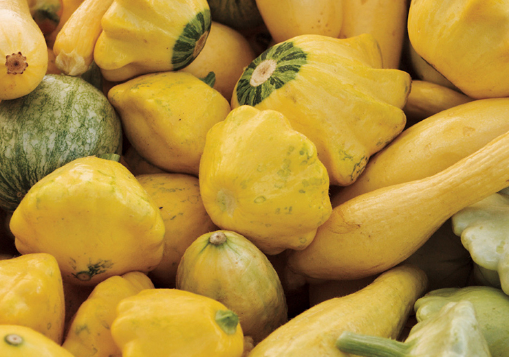 squash-is6556796Large_1420x520