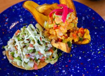 huntington-bordergrill_ceviche-2517_maxpelzner