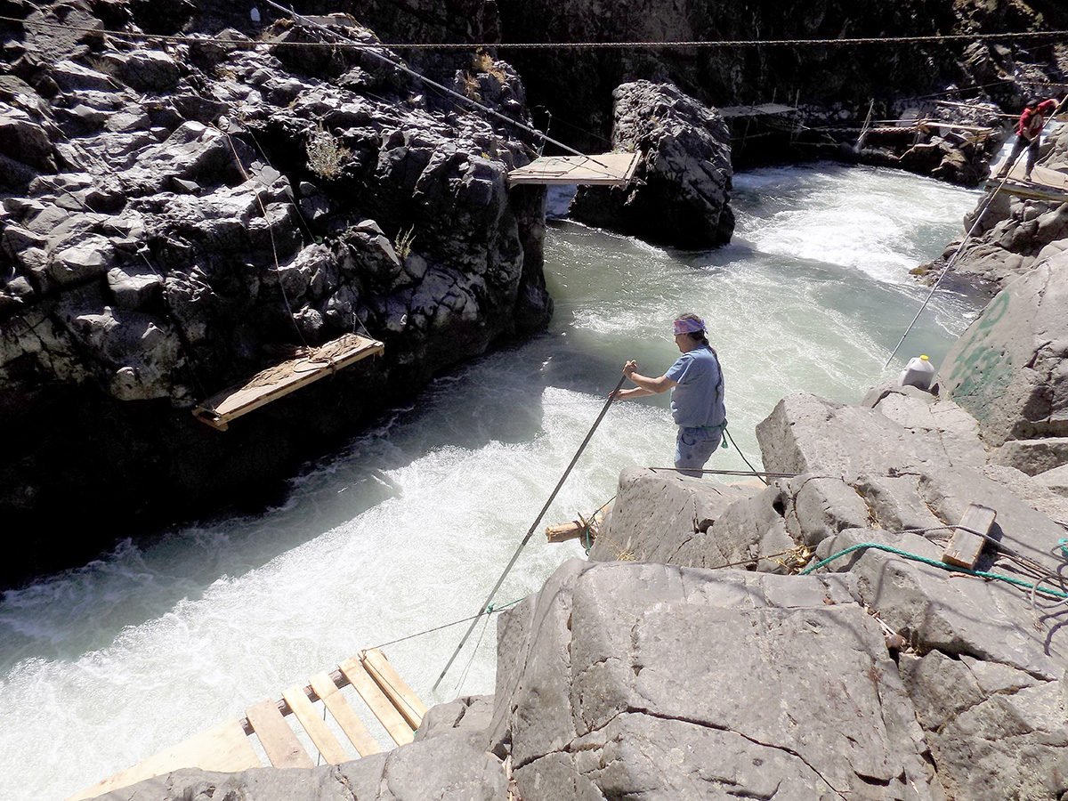 A member of the Umatilla tribe fishing with a hoop net