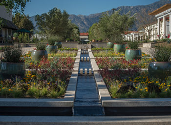 Entry Gardens-Martha Benedict_500px