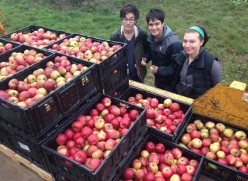 Willamette Students Go Gleaning to Help the Needy