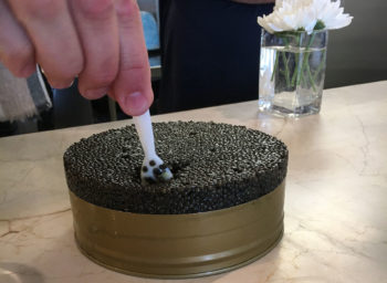 Curing Caviar from Water to Table at The Commissary