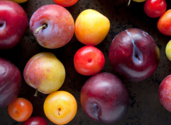 Fresh Plum Assortment