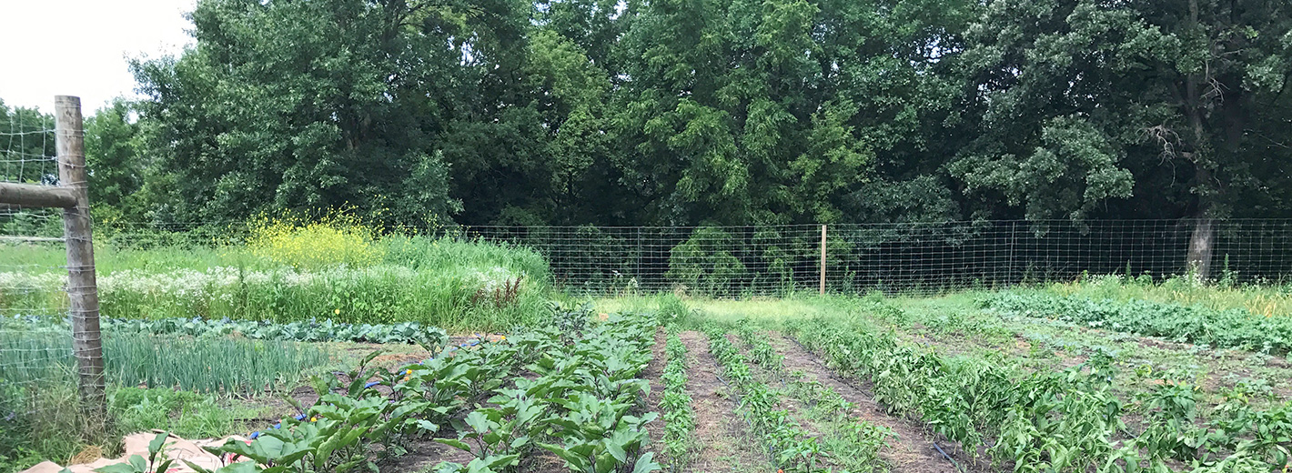 Carleton Farm plants