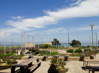 082917-cute-patio-roundup_newsclip