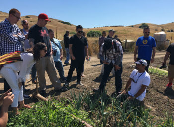 norcal chef exchange_county line harvest fields 2_1420x520