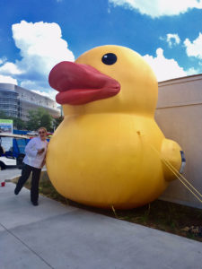 Giant inflatable duck