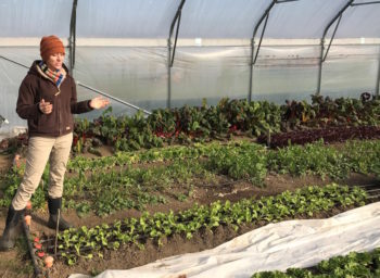 Cornell College Proud to be Key Part of Community Support for Morning Glory CSA