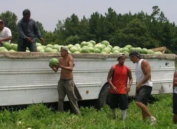 A Farmworker Awareness Week Spotlight