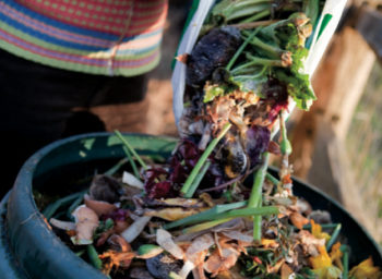 Composting 101