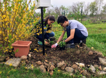 Lafayette Offers Full Week of Earth-Friendly Activities