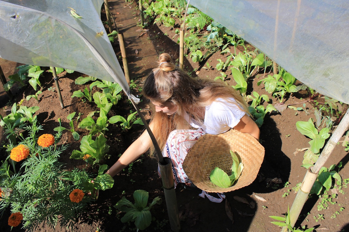 female fellow farming 