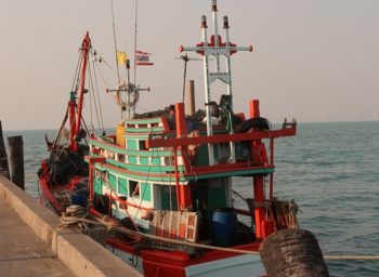 International Buyers Must Prevent Thailand Backtracking on International Convention on Work in Fishing