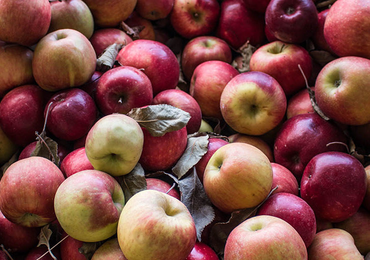 clairek_millers_apples_1420x520