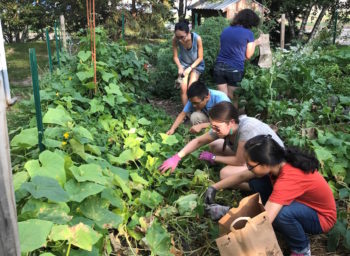 Macalester’s MULCH Garden Gets Reborn