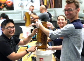 SAP Takes Guests on a Sweet Hive-to-Honey Journey