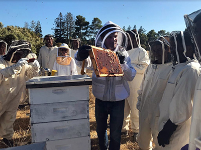 nstructors show guests how to open and investigate the hives