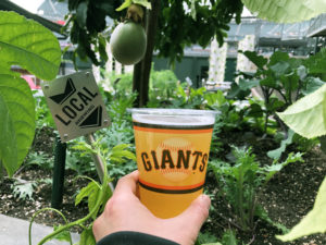 Giants garden beer at Oracle Park