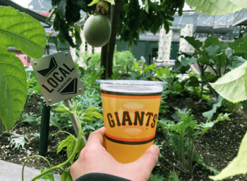 GiantsGarden_GardenGnomeBeer