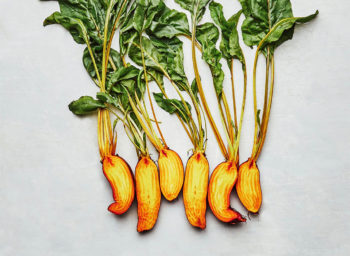 Row7_BadgerFlameBeets