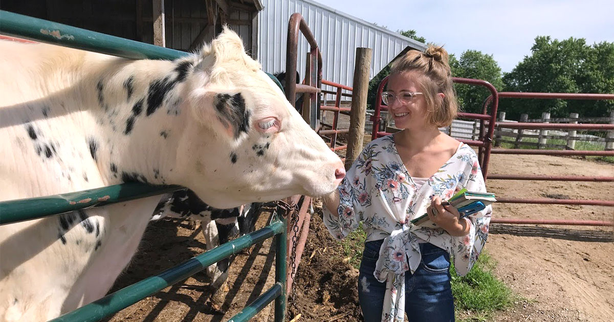 Carrie Cullen pets a cow