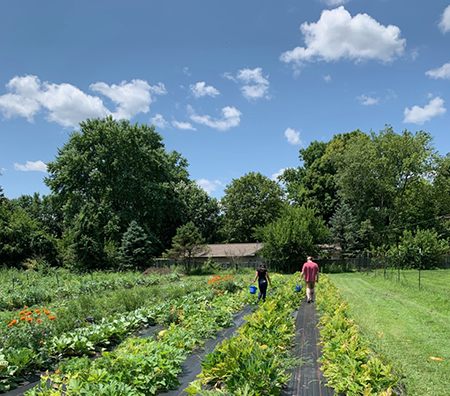 Marketing Coordinator Paige Johnson and Line Cook Chase Spier admire the fertile rows