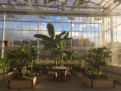 Tables inside the greenhouse are available for meetings at Overstock.com