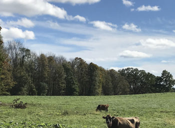 From Milk Routes to Robots: Getting the Lowdown on High Lawn Farm