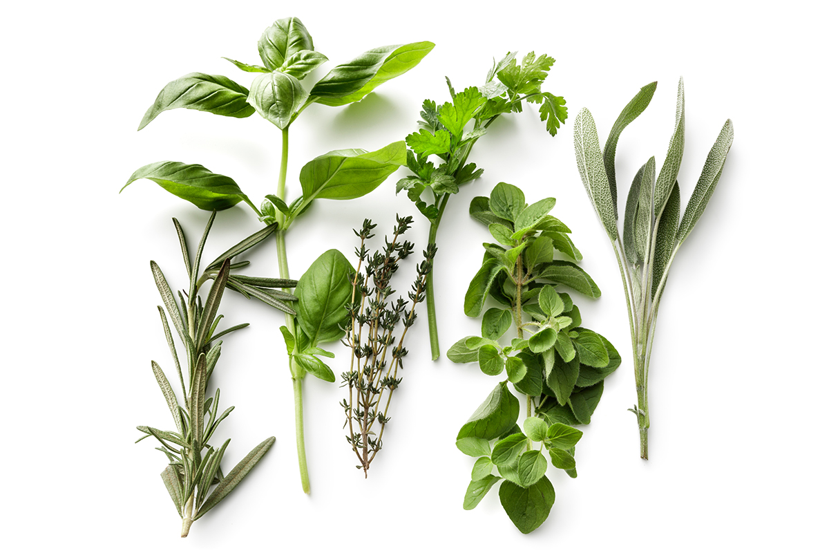 https://www.bamco.com/wp-content/uploads/2020/02/feb-tips_rosemary-basil-thyme-parsley-oregano-and-sage-iStock-1061648082_1200.jpg