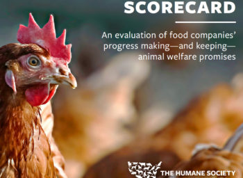 Humane Society Ranks Bon Appétit #1 of Food Management Companies