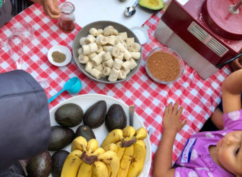 Wellness Wednesday with Healthy Kids: Taste Tests, ABC Pudding, and Fruit Hand Pies for the Win!