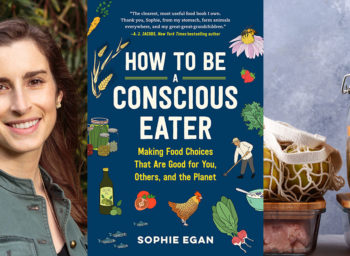 Let’s Cook with Sophie Egan: 5 Easy Ways to Waste Less Food at Home