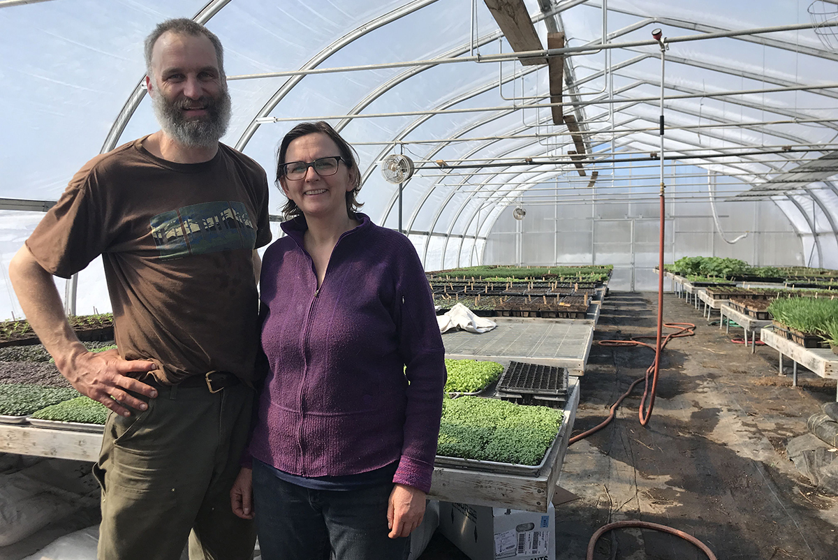 Villageside Farm owners Prentice Grassi and Polly Shyka in the greenhouse