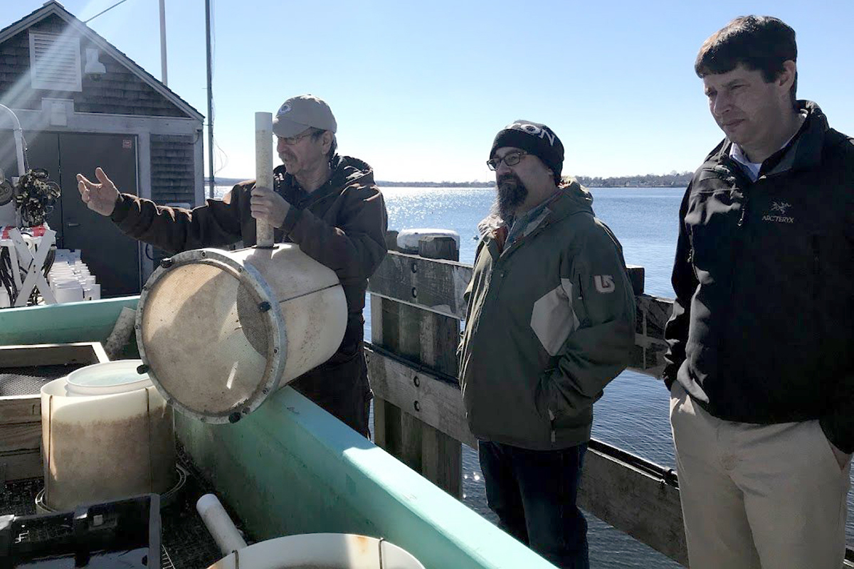 Associate Professor of Biology Dale Leavitt shows Executive Chef Jon Cambra and Café Manager Josh Hennessy the submerged tanks