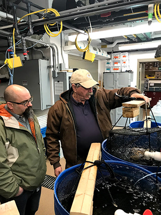 Jon looks at the oyster breeding tanks with Dale, who oversees the research facility