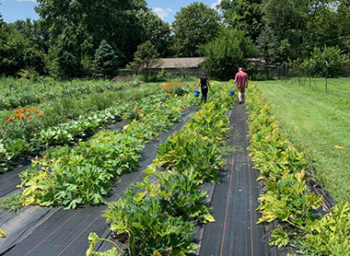 Rose-Hulman Visits Seven Farms