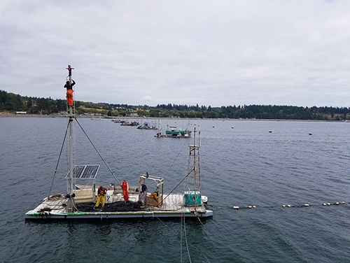 Rows of small raftlike boats with observation towers are commonly used for reefnet fishing