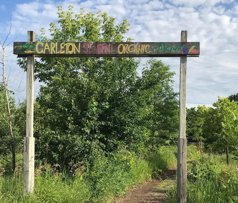 Gate to the farm that says "Carleton Student Organic Farm"