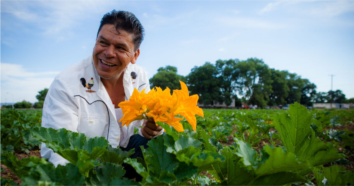 Farmer holds squash blossoms in a field