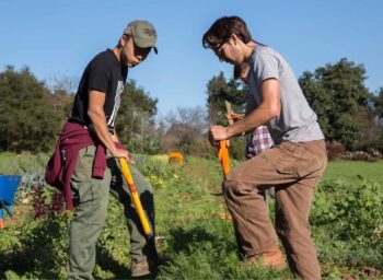 This Apprenticeship Program Helps Grow New BIPOC Farmers